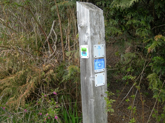 Baden-Powel trail