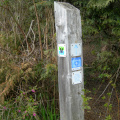 Baden-Powel trail