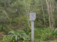 Metchosin Lake Trail