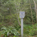 Metchosin Lake Trail
