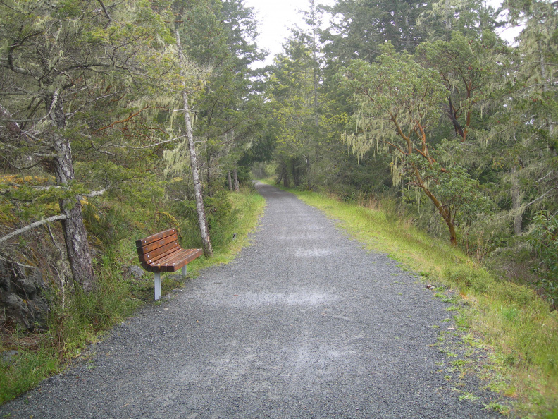 Galloping Goos Trail 4