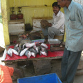 Rybí trh u řeky