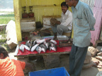 Rybí trh u řeky