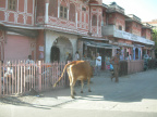 Centrum Jaipuru 2