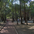 Park 2