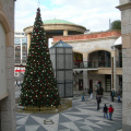 Vánoční strom uprostřed Fora